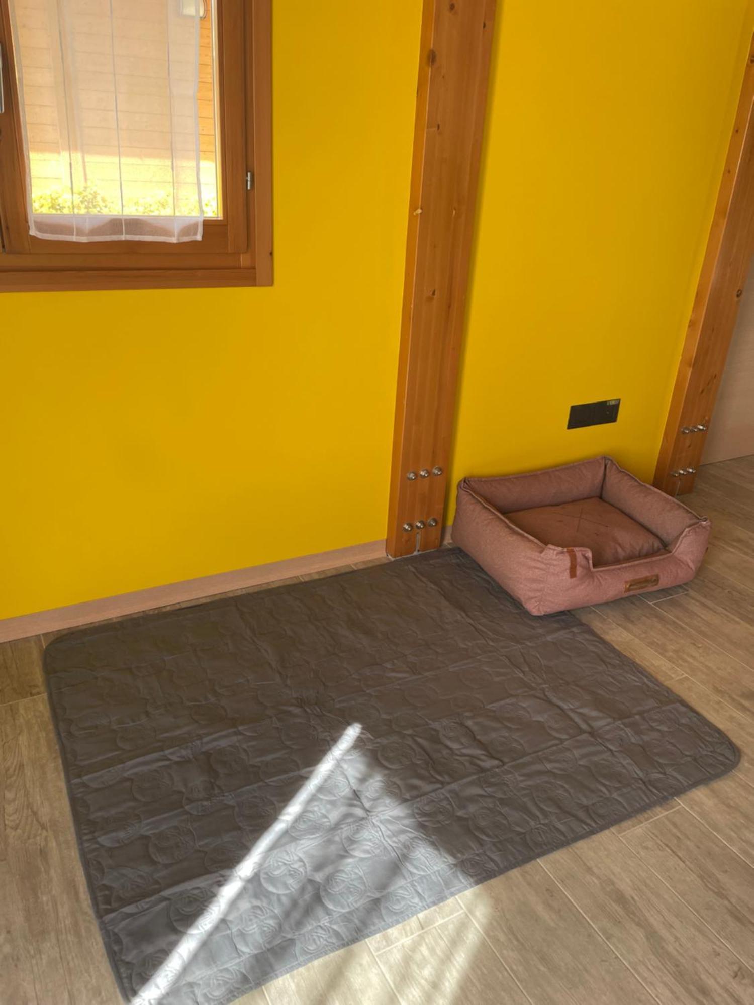 Colleolivi Apartment Serra deʼ Conti Exterior foto